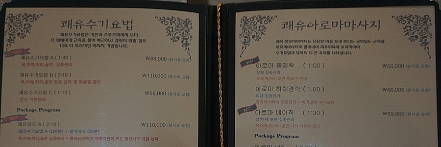 으뜸경락 이미지