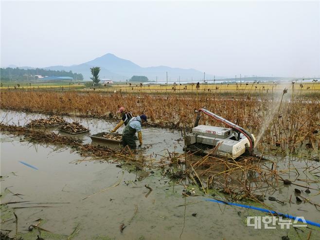 농업회사법인 고마미지 주식회사 이미지