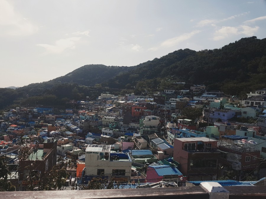 감천시스템 이미지