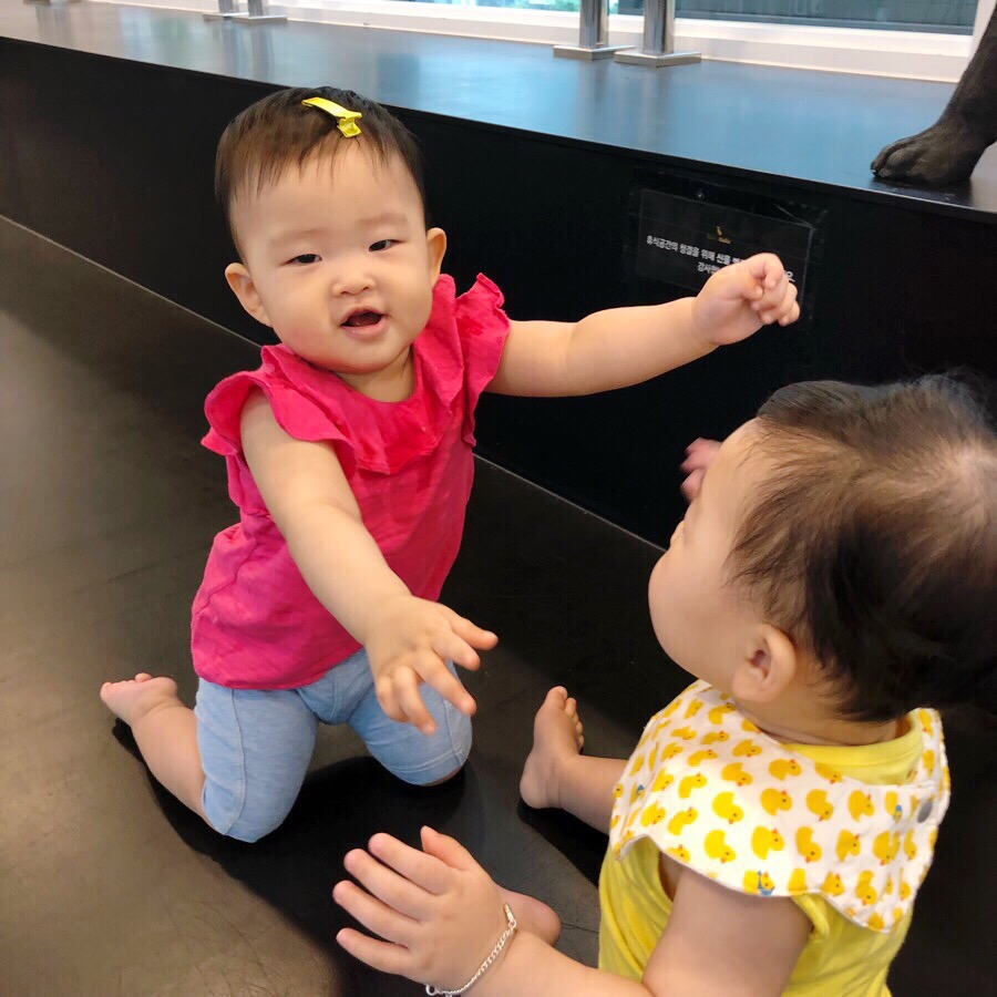 아기동물카페 이미지