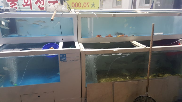 삼거리회수산 이미지