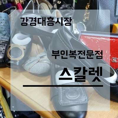 강경스칼렛 이미지
