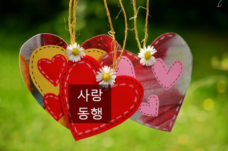 (사)한국뇌병변장애인인권협회 이미지