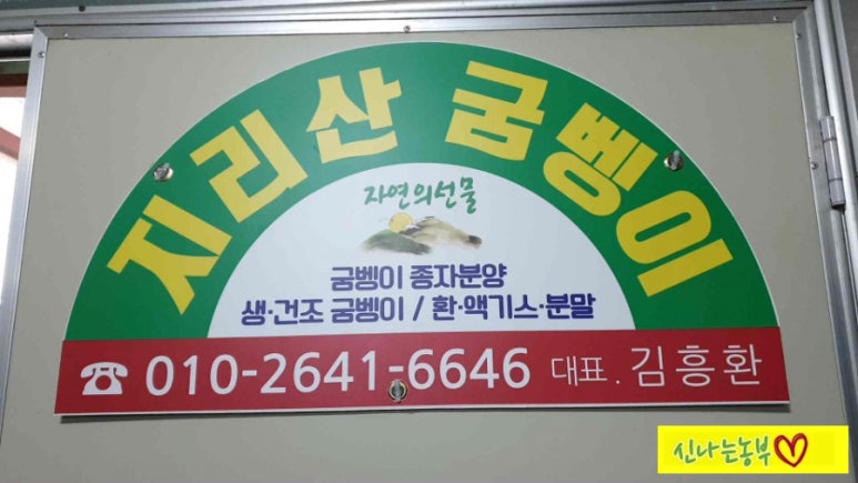 지리산 굼벵이 이미지