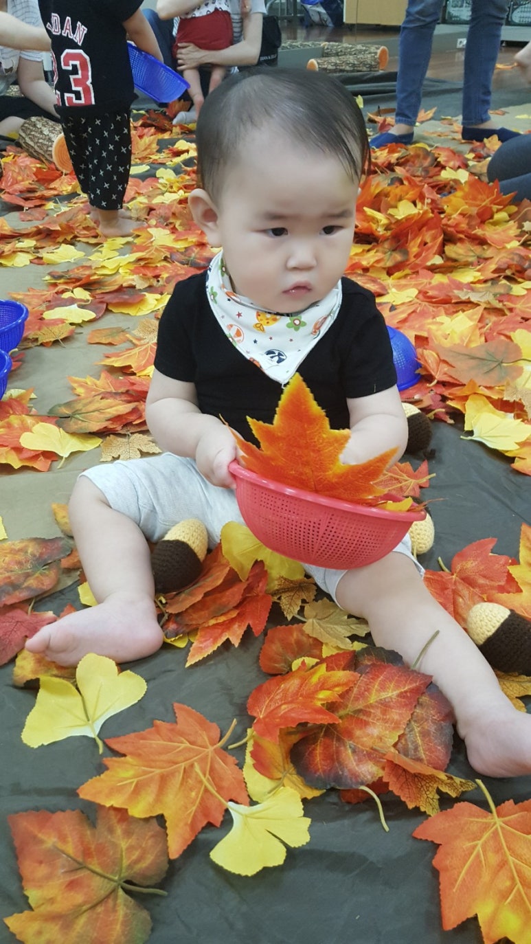 (주)풀잎소리 이미지