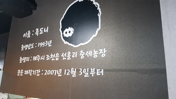 제주충세흑돼지 이미지