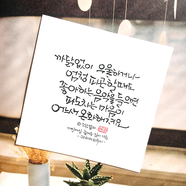 즐거운 매일 이미지