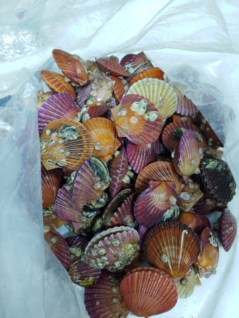 연희수산 이미지