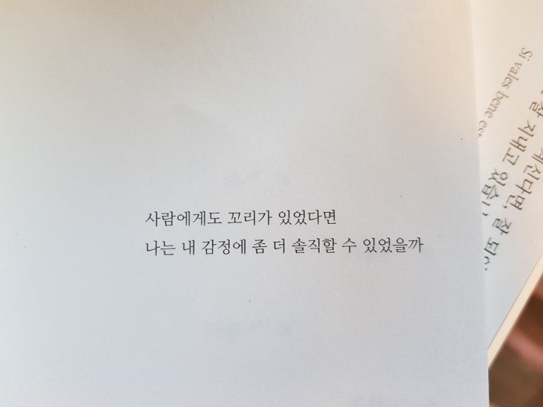 성현 라이프 이미지
