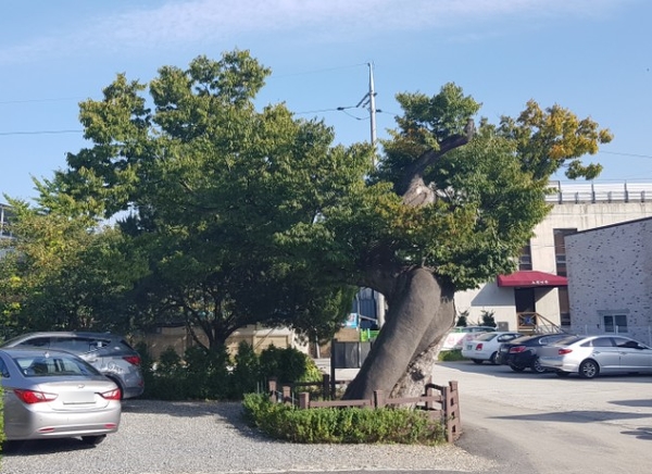 더원행정사사무소 이미지