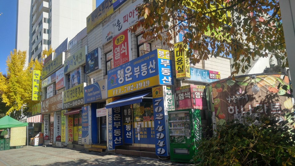 참스민 이미지