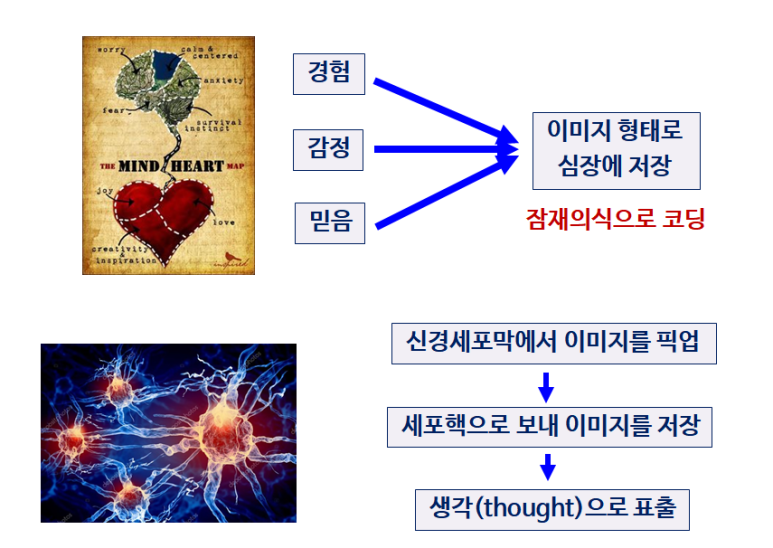파동에너지 이미지