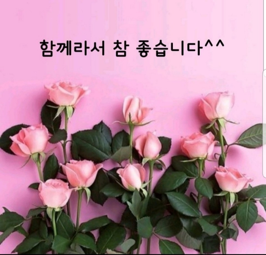한빛교육원 이미지
