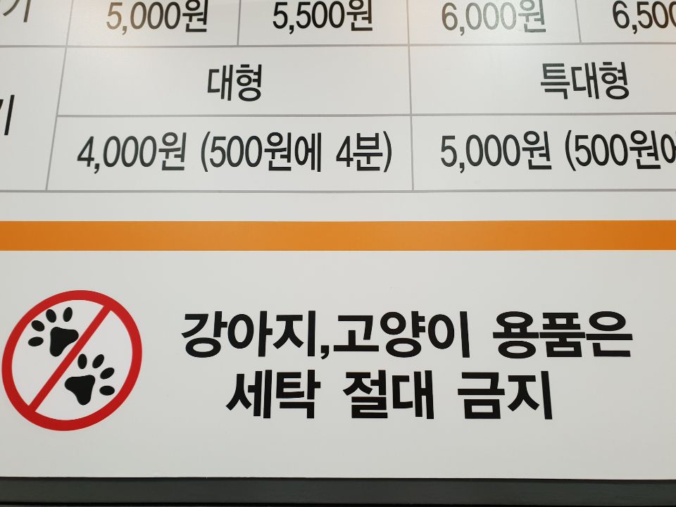 워시프렌즈셀프빨래방대전 이미지