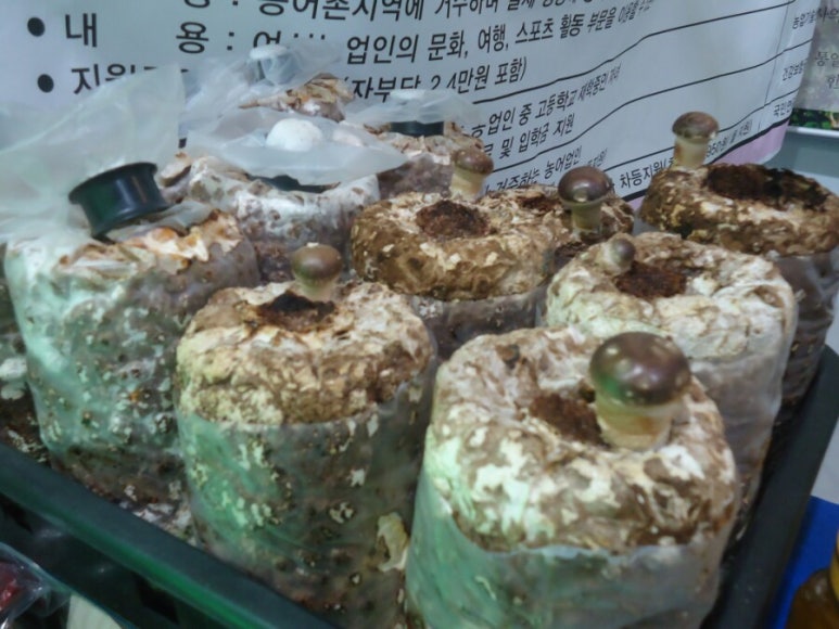 경원관광(주) 이미지