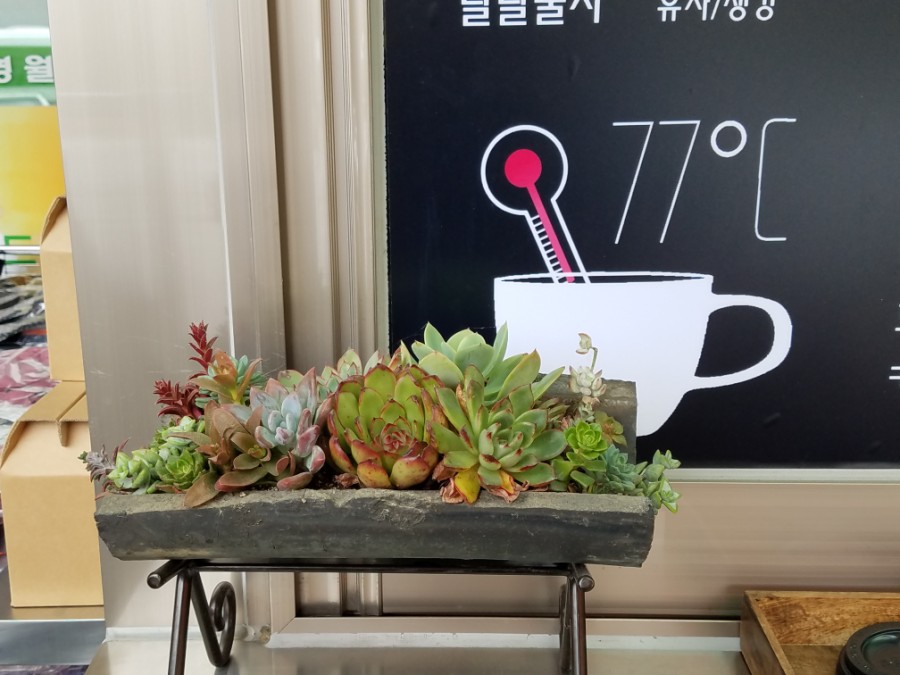 영월랜드휴게소 이미지