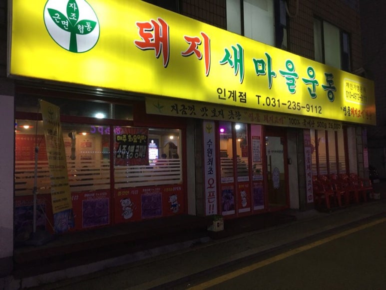 돼지새마을운동 이미지