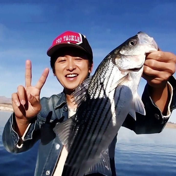 참치생각 이미지