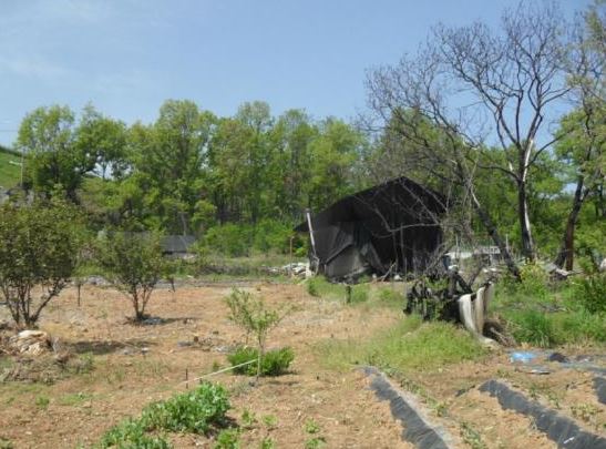 법무사안광훈사무소 이미지