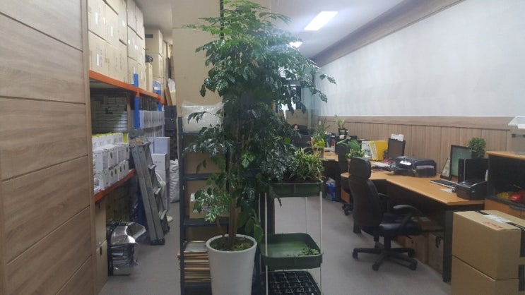 홈톡스닷컴 이미지