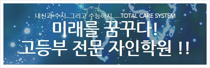 자인시스템 이미지