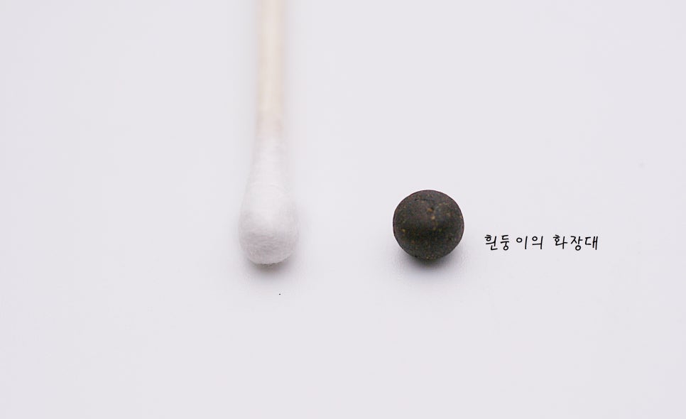 혜인서 이미지