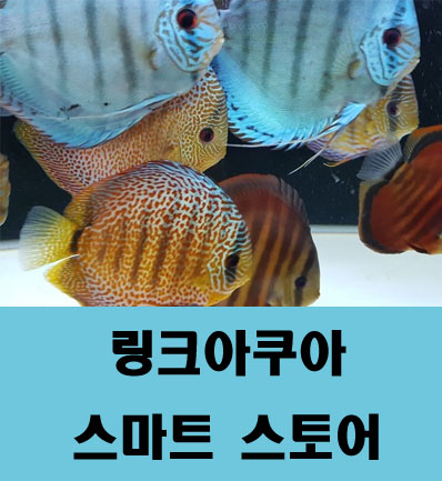 아쿠아 스토어 이미지