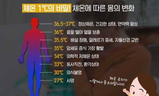 퀸테라피 이미지