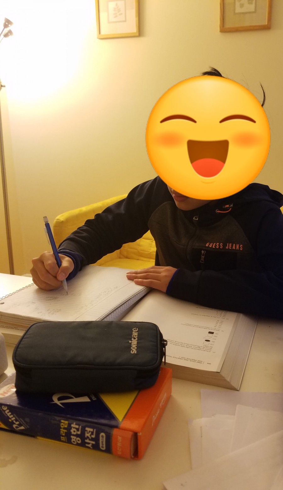 오딜리아 이미지