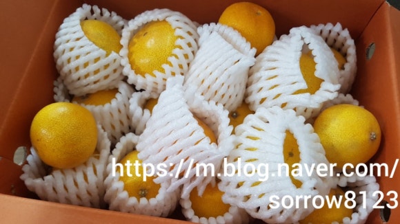 꿀맛 농수산 이미지