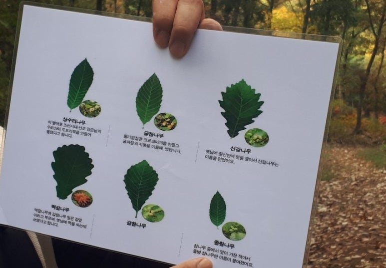 공주산림휴양마을 유아숲체험원 이미지