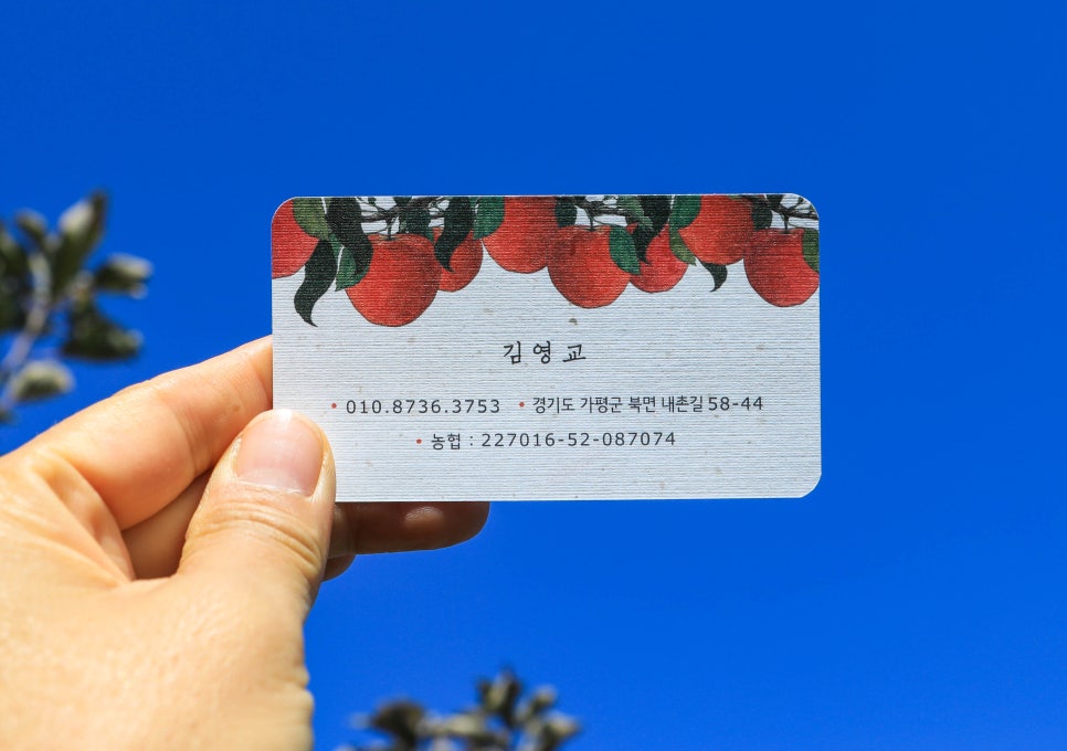 오삼삼칠 이미지