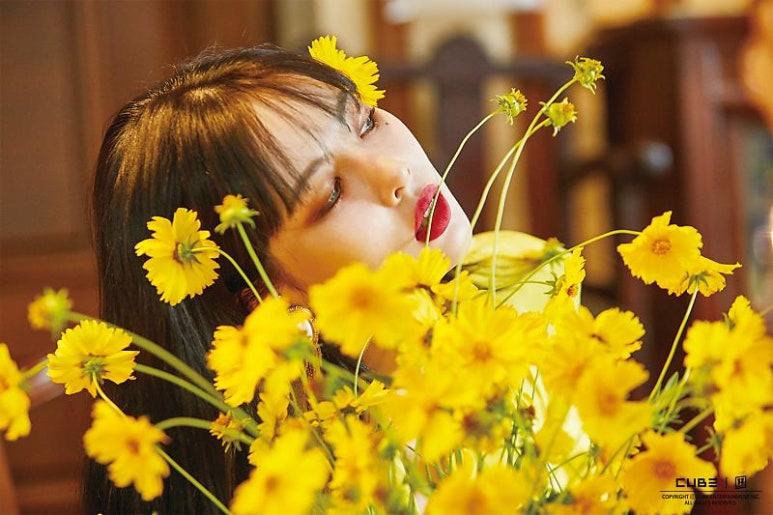 트리플에이치 이미지