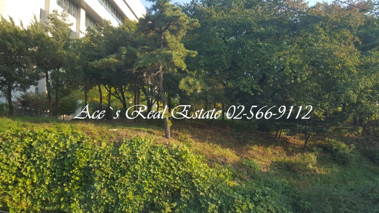 서래스튜디오 이미지