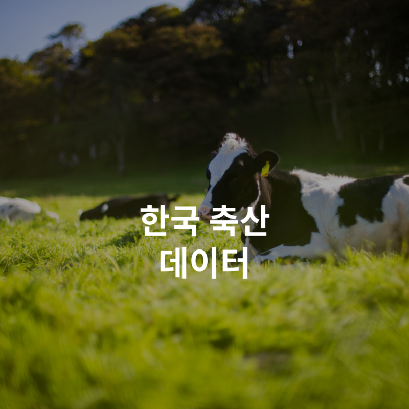진선축산 이미지