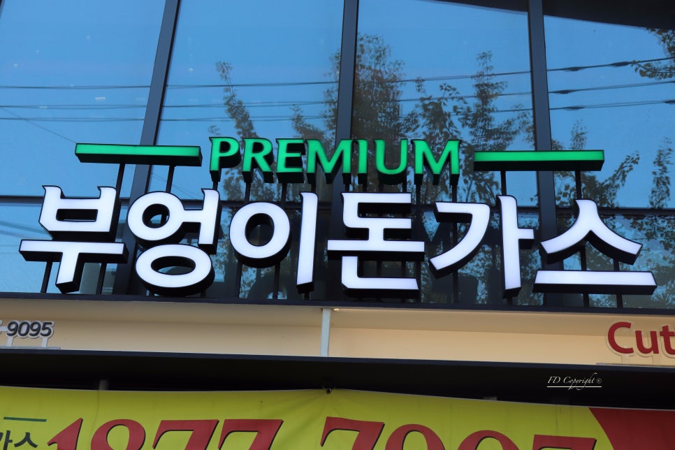 부엉이FD 이미지
