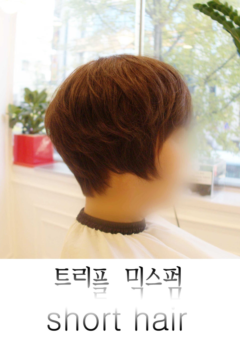 헤이블 이미지