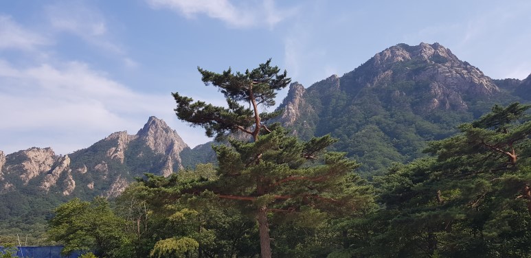 신흥사 이미지