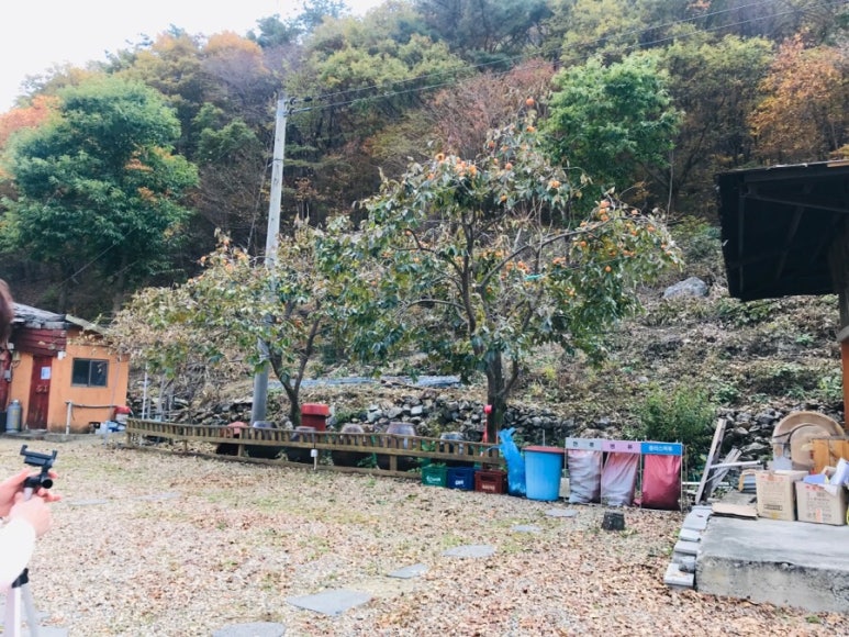 산소리물소리 이미지