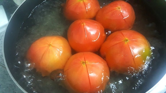 코치푸드 이미지