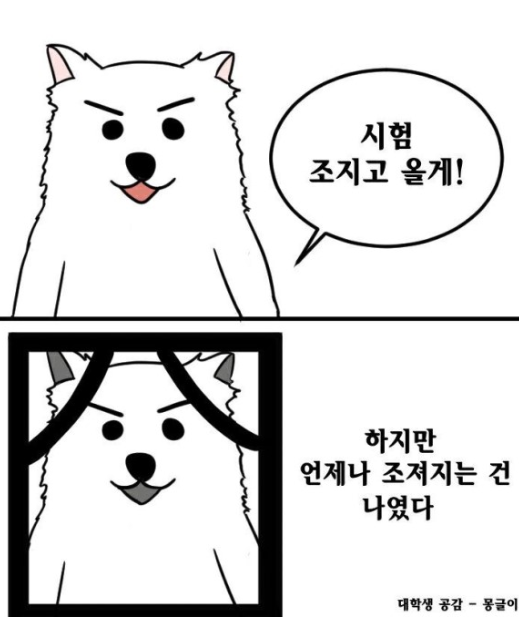 개성진찹쌀순대 이미지