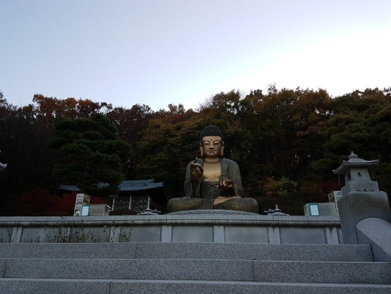 소담사주타로 이미지