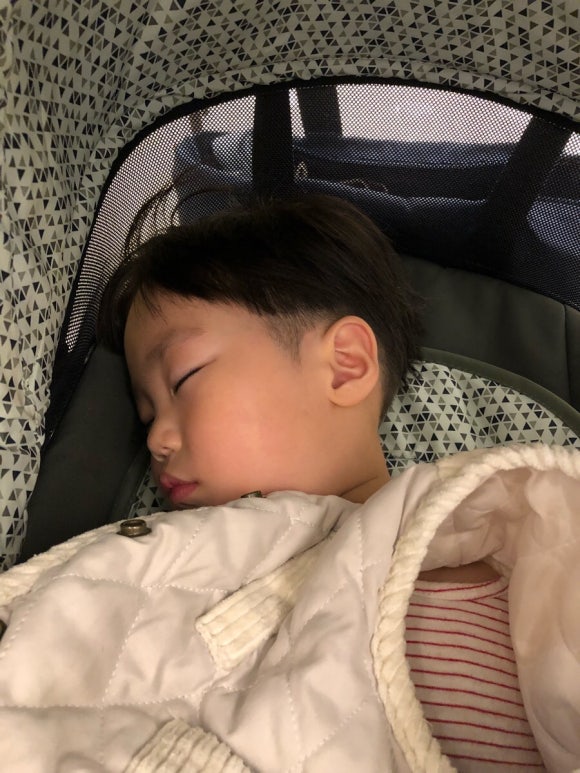 자루헤어 이미지