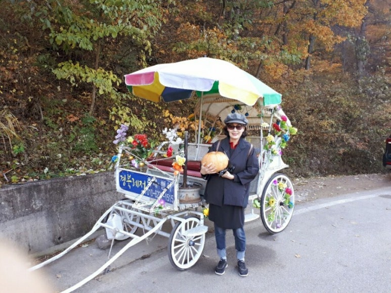 호박노래바 이미지