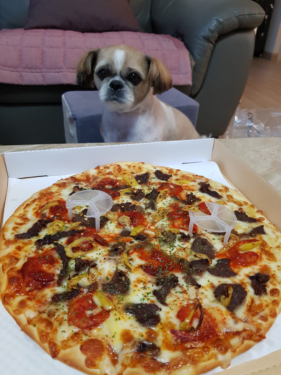 피자인카페 이미지