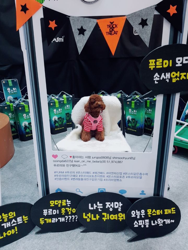 뉴에스틴 이미지