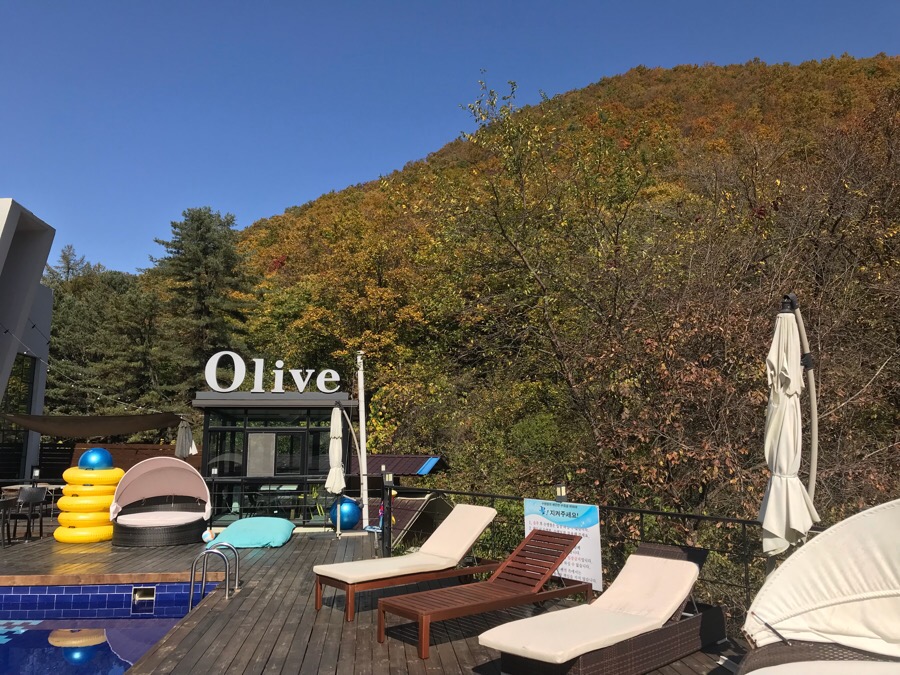 올리브팬션 이미지