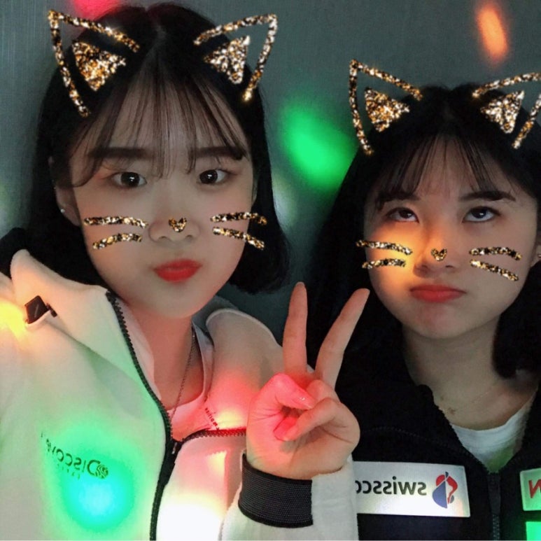 하그사 이미지