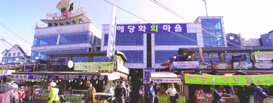 해당화회마을 이미지