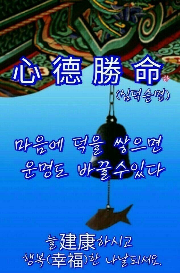 일신사 이미지